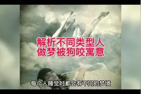 寓意因人而异的梦境：不同类型人梦见被狗咬解析#民间故事视频封面