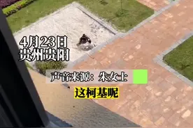 孩子“活埋”柯基引起父亲的“咆哮”，怀疑究竟谁才是他亲生的……视频封面