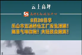 今早，乐山市五通桥化工厂发生泄漏！刺鼻气味弥散！大批民众撤离！#乐山#泄漏视频封面