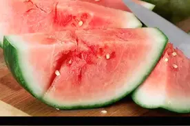 是时候公布尼莫的身世…所以尼莫像谁多一点？#vlog萌宠日常视频封面