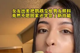 女友出差把鹦鹉交给男友照料，竟然不愿回家还学会了新技能#萌宠#治愈#万物皆有灵性视频封面