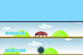 总提的生物安全，在国门怎么守护？上集