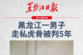 黑龙江一男子走私虎骨被判5年。男子在俄罗斯打工期间拾得虎骨一根，带回国内时被海关查获。视频封面