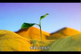 带你了解什么是功能农业视频封面