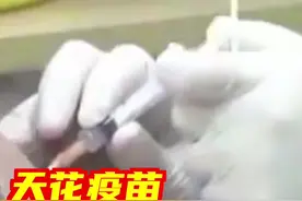 #天花疫苗对猴痘有效 据世卫组织介绍，猴痘病毒感染症状与天花相似，但临床严重程度较轻。潜伏期通常为6至13天，可能长达21天。多数患者会在几周内康复。研究表明，接种天花疫苗预防猴痘有效率达85%。视频封面