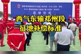 西气东输邓州段征地补偿标准#邓州 #同城发现视频封面
