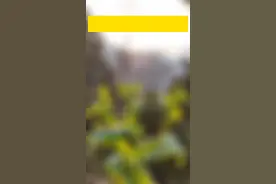 胡超文指出，“恩高宣”快速通道、恩施新机场快速通道两个项目的建设，将有力促进我州大交通格局的形成，有效带动沿线产业发展，推动我州经济社会高质量发展。@抖音短视频 #湖北恩施 #抖音小助手 #新闻 #最新消息 #热点 视频封面