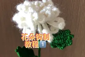 清明节又要到了 扫墓的日子 带上一朵自己钩制的白菊花视频封面