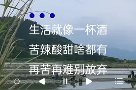 #东山再起#经典老歌 #音乐推荐 #情感 @DOU+小助手 视频封面