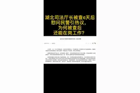 湖北司法厅长被查6天后慰问民警引热议，为何被查后还能在岗工作？视频封面