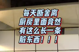 厨房油烟烟机里面竟然有这么长一条的脏东西！！#遇到事情不要慌视频封面