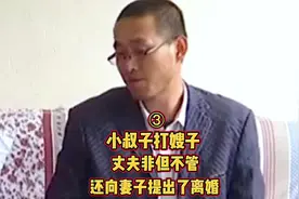 小叔子揍嫂子，大哥不仅不管还提出了离婚，网友:揍的轻#社会百态视频封面