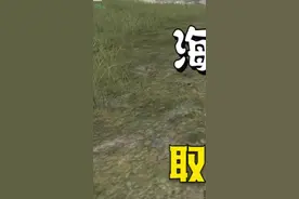 全新补给品“海岛冰茶”，效果比医疗箱还要好！#和平精英 #手机游戏 #游戏 #游戏日常