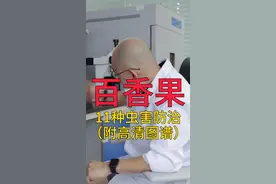 百香果很招虫害，如何处理虫害？老王有妙招！