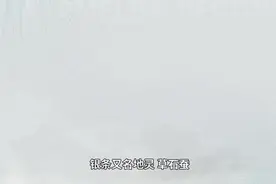 偃师劲林银条菜，看下这个视频，学习一下什么叫做银条菜。