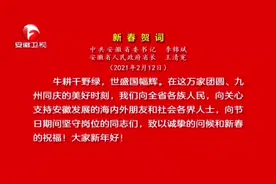 省委书记李锦斌、省长王清宪致新春贺词#新春祝福视频封面