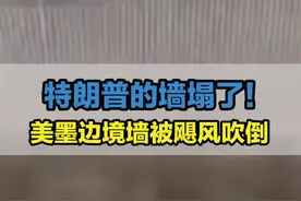 【#特朗普的墙塌了#美墨边境墙被飓风吹倒了】#特朗不靠普#美墨边境墙视频封面