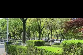 素质确实很重要呀#保持一米安全距离 #全民核酸检测 #抖音热门视频封面