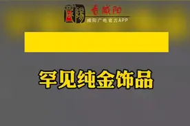 #咸阳战国秦墓新发现视频封面