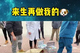 五十天，它感受到世间温暖，没有遗憾… #被遗弃的狗 #金毛 #救助流浪狗  @DOU+小助手 @抖音短视频视频封面