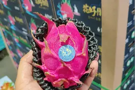 乾龙果在国产红心火龙果领域跟它的名字一样威武霸气视频封面