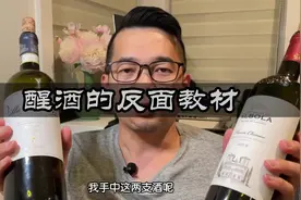 葡萄酒都要醒酒吗？有没有红酒越醒越差的？#测评 #醒酒视频封面