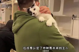 原来小猫咪也会自己选主人呀#我和流浪猫的故事 #关爱流浪动物视频封面