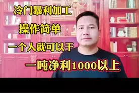 农村冷门暴利加工，1吨纯利1000多，一天能出五吨，市场需求量大，1个人就可以干#农村创业 #生意 #废品回收 #创业 #新商机 视频封面