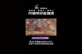 5月15日上午8点，直播京基智农徐闻100万头生猪项目现场，带你看看投资30亿的猪场是如何建成的。视频封面