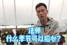 多肉法师一年四季都可以掐心，只是不同的季节掐心，他的生长速度不同。#法师养护 #养花小知识 #法师多肉视频封面