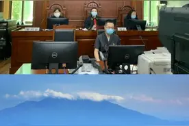 宋某到境外打工捡到一根虎骨，打算回国后泡酒喝，在东宁口岸通关时被查获，构成走私珍贵动物制品罪获刑五年视频封面