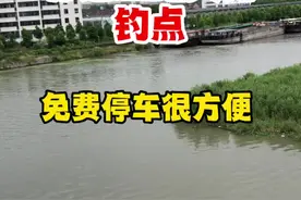 地址在宝山区祁连山路大桥的东南岸边，东南角有条小路直通桥下！各位朋友放心停车，舒心钓鱼。#钓点分享 #快乐垂钓 #钓鱼人的快乐 #抖音钓鱼人 #2022dou来钓鱼 #真实户外 #钓位分享 #鱼获满满 #钓鱼人 #户外钓鱼 #传统钓 #路亚 #路亚钓点 #免费钓鱼的地方 #不空军的钓鱼人 #钓鲤鱼 #钓大鱼 #钓鱼人的快乐 #爆护 #抖音垂钓季 #宝山区钓鱼地点视频封面