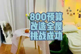 改造系列，撒花🎉完结！800预算余44 成功了吗？#出租屋改造视频封面