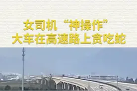 女司机“神操作” 大车在高速路上贪吃蛇#危险