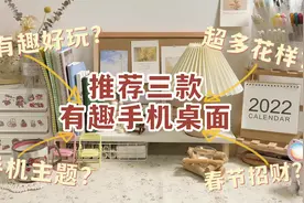 三款超有趣的手机主题#手机主题 #华为主题 #桌面视频封面