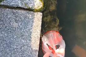 [合十][合十][合十][合十][合十][合十] 今日农历四月二十八视频封面