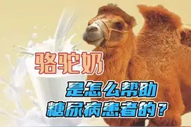 骆驼奶究竟是怎么帮助糖尿病患者的？#骆驼奶 #我要上热门 #骆驼视频封面