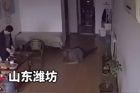 退役#老兵 不小心滑倒，顺势一个动作太牛了！这是刻在骨子里的本能反应#监控下的一幕 #致敬老兵 #泪目@抖音短视频视频封面