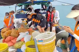 转发分享今天三亚大放生第一场三条船出海 愿见者欢喜视频封面