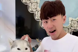 开心偷吃，竟然诬陷小金毛，结局亮了@聚划算百亿补贴视频封面