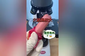你喜欢吃火腿肠吗？#显微镜  #关爱儿童健康 #火腿肠视频封面