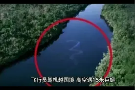 飞行员架机飞越国境，高空遇15米巨蟒，死后真相成了未解之谜。视频封面