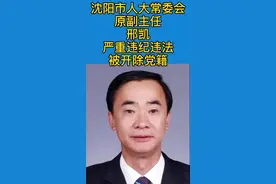沈阳市人大常委会原副主任邢凯严重违纪违法被开除党籍视频封面
