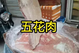 冻五花肉，适合腌制、烹饪，等各种用法。非常棒的食材。视频封面