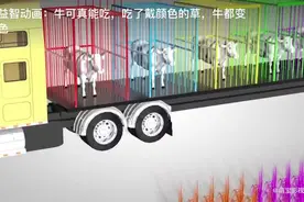人生这辈子还是少吃牛肉。牛肉吃多了到处吹牛逼。有啥意思。视频封面