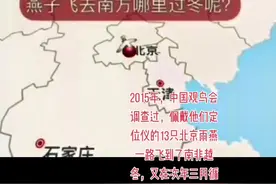 真是没有翅膀限制了我的想象！以前总以为燕子飞到南方越冬。#行程轨迹 #迁徙 视频封面