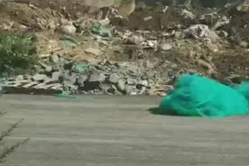 #市民举报有人在路边挖坑填埋建筑垃圾 施工单位称是临时覆盖视频封面