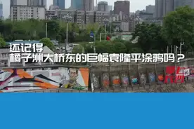 7月29日，长沙晚报记者专访巨幅袁隆平涂鸦作者@所谓艺术生 ：“风波平息后还想恢复袁老的涂鸦。”