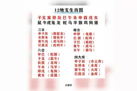 12生肖三合六合#12生肖三合 #12生肖 #易经 #12地支对应12生肖视频封面