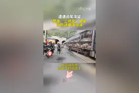 8月13日，晋新高速焦作段，一整车生猪因追尾滞留而中暑，消防紧急救援，为百余头生猪降温冲澡。 #生猪 #高速 #现场直击#救援现场 